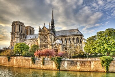 Fotobehang Parijs en de Notre Dame kathedraal