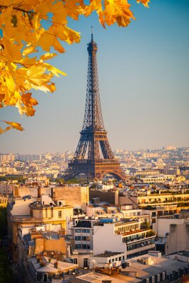 Fotobehang Parijs en herfstbladeren