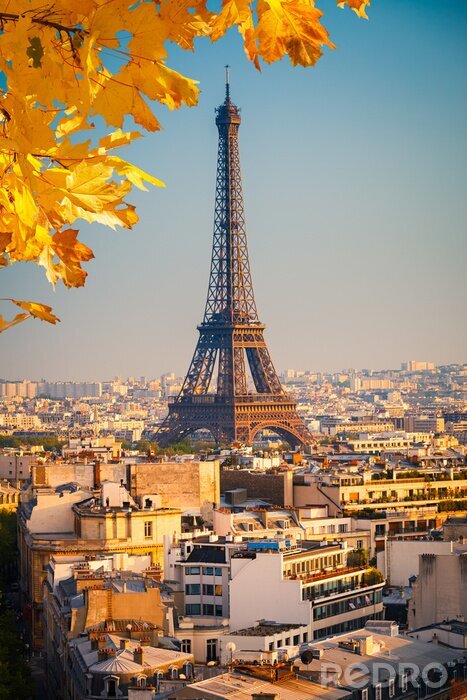 Fotobehang Parijs en herfstbladeren