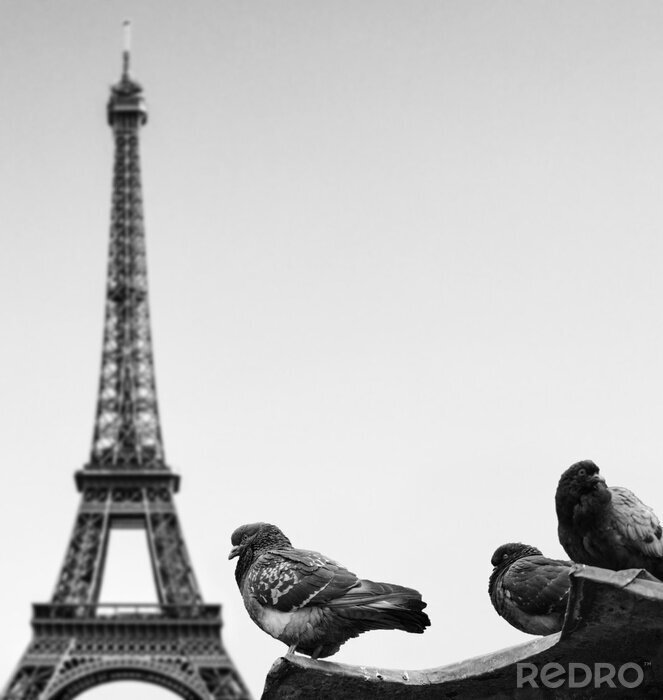 Fotobehang Parijs zwart-wit
