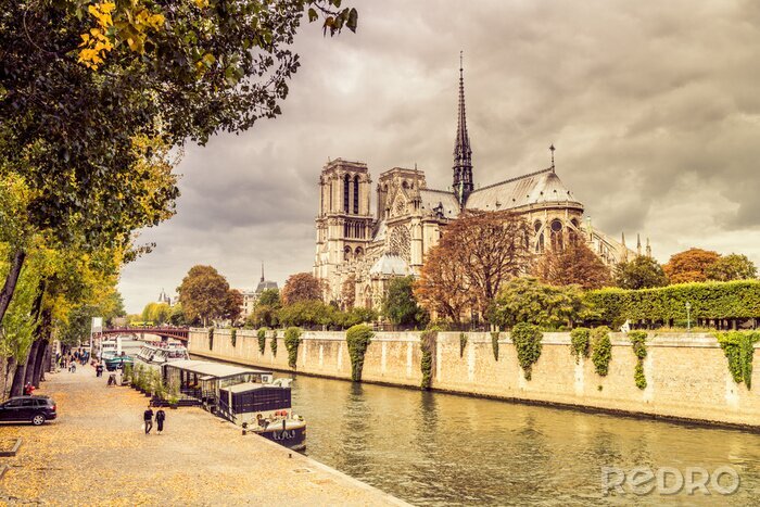 Fotobehang Paris Notre Dame