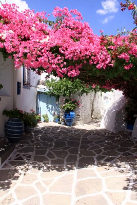Fotobehang Paros, île grecque des Cycladen