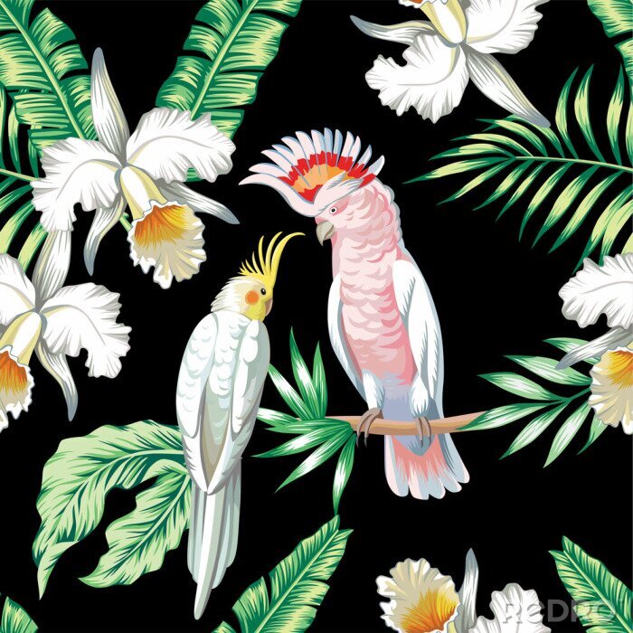 Fotobehang parrots exotic floral seamless background