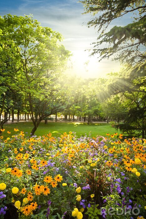 Fotobehang Parterre van bloemen afgerond door bomen tegen zonsondergang zonnestralen