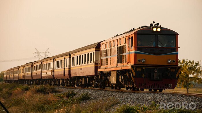 Fotobehang Passagierstrein was op doorreis landelijke gebied, 2015.