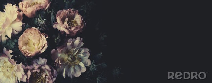 Fotobehang Pastel vintage pioenrozen op een zwarte achtergrond