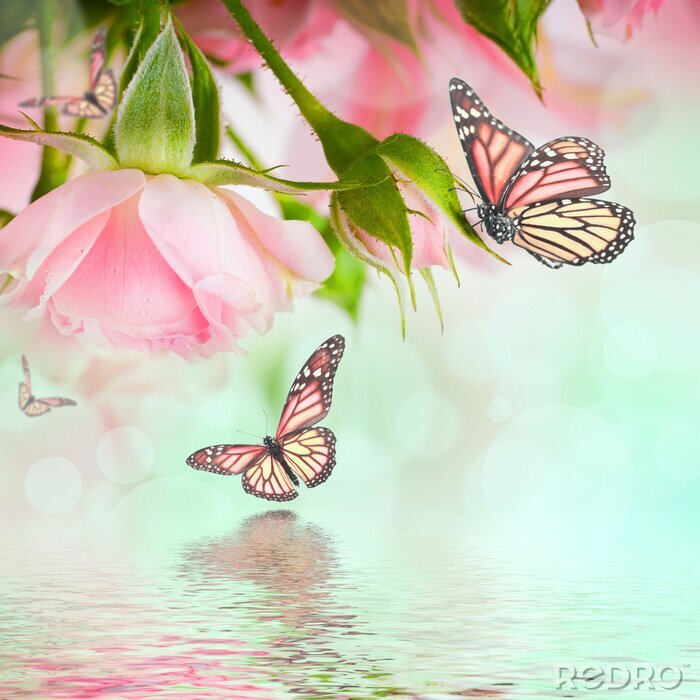 Fotobehang Pastelkleurig landschap met vlinders en rozen
