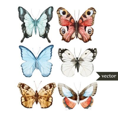 Fotobehang Pastelkleurige vlindersoorten