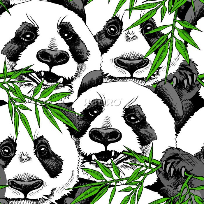 Fotobehang Patroon met panda's en bamboebladeren