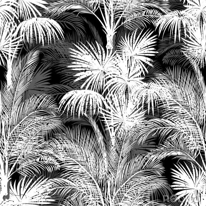 Fotobehang Patroon met zwart-witte palmbomen