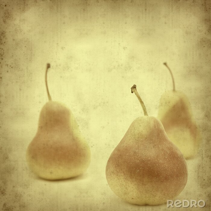 Fotobehang Peren in retrostijl