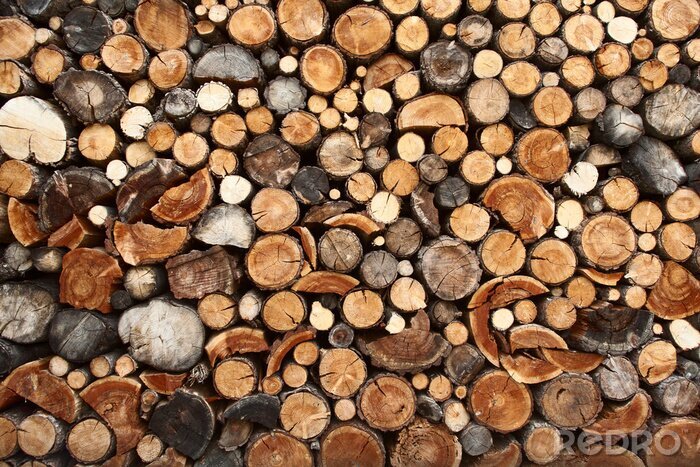 Fotobehang Pile of chopped fire wood