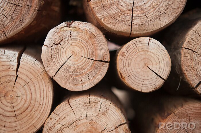 Fotobehang Pile of wood logs stumps for winter