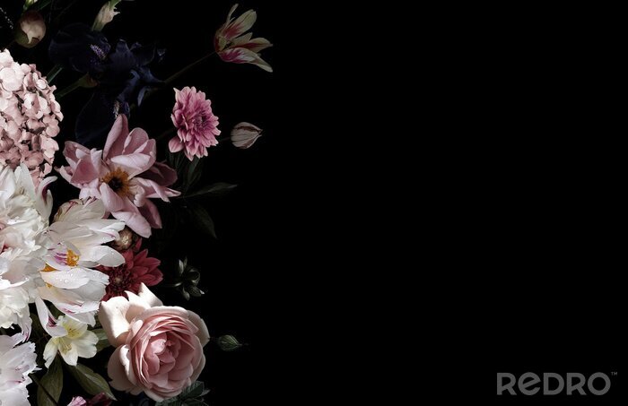 Fotobehang Pioenrozen in de duisternis van omhullende zwartheid