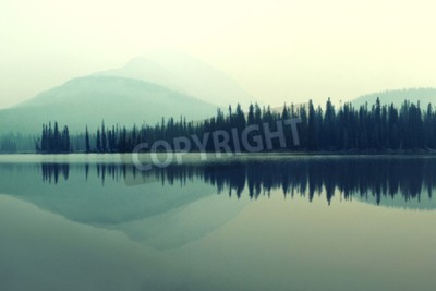 Fotobehang Pittoresk bos aan een meer