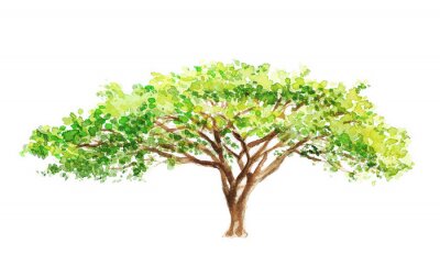 Fotobehang Plant als een boom