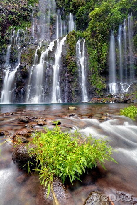 Fotobehang Planten bij de waterval
