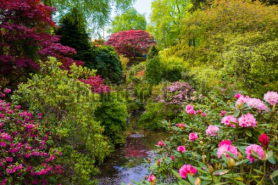 Fotobehang Planten en bloemen in de botanische tuin