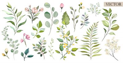 Fotobehang Planten en kleine gekleurde bloemen