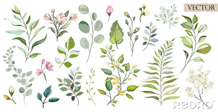 Fotobehang Planten en kleine gekleurde bloemen