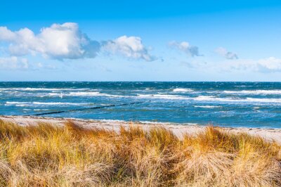 Fotobehang Planten op de duinen en de zee