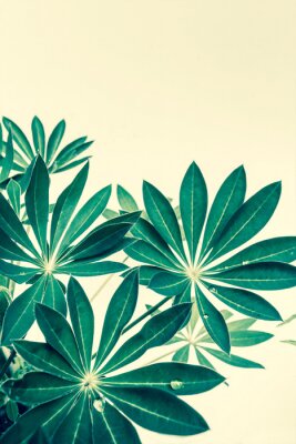 Fotobehang Planten op een crèmekleurige achtergrond