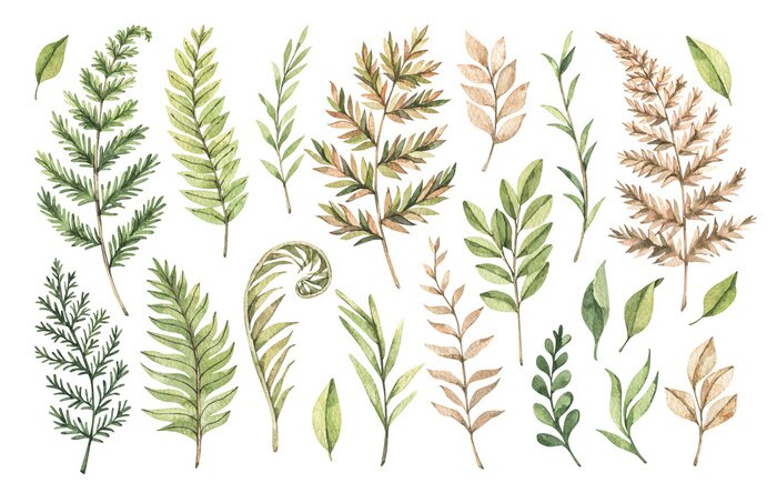 Fotobehang Planten op een illustratie