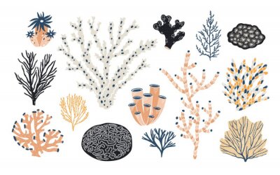Fotobehang Planten van koraalrif