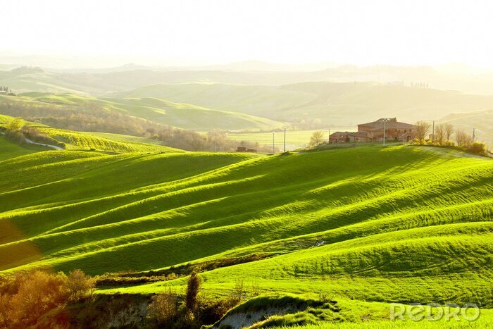 Fotobehang Platteland, San Quirico d'Orcia, Toscane, Italië