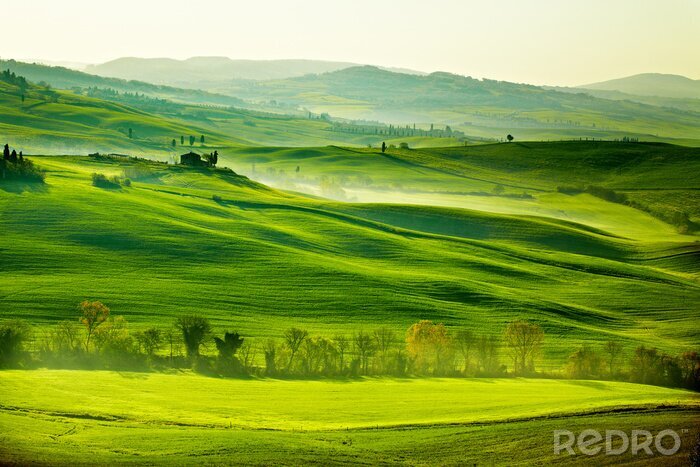Fotobehang Platteland, San Quirico'Orcia, Toscane, Italië