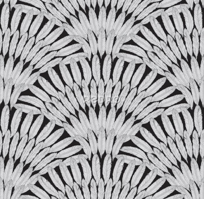 Fotobehang Pluimen op een zwarte achtergrond