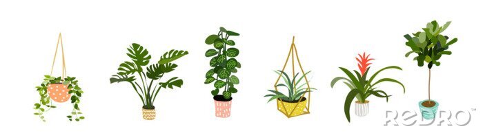Fotobehang potplantencollectie. vetplanten en kamerplanten. hand getrokken vector kunst. Set van huis binnen vector cartoon doodle.