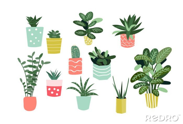 Fotobehang potplantencollectie. vetplanten en kamerplanten. hand getrokken vector kunst. Set van huis binnen vector cartoon doodle.