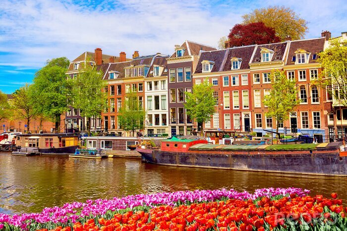 Fotobehang Prachtig landschap van Amsterdam