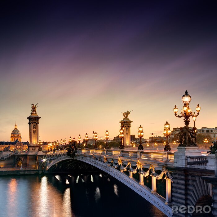 Fotobehang Prachtige brug in Parijs