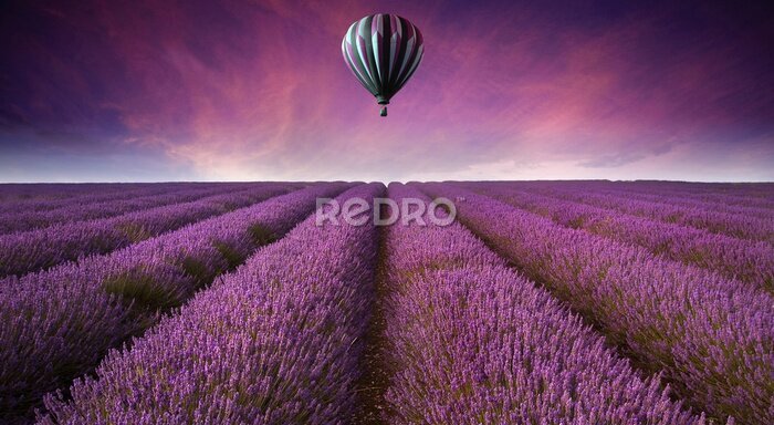 Fotobehang Prachtige lavendel veld landschap Zomer zonsondergang met hete lucht bal