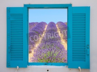 Fotobehang Raam met uitzicht op een lavendelveld
