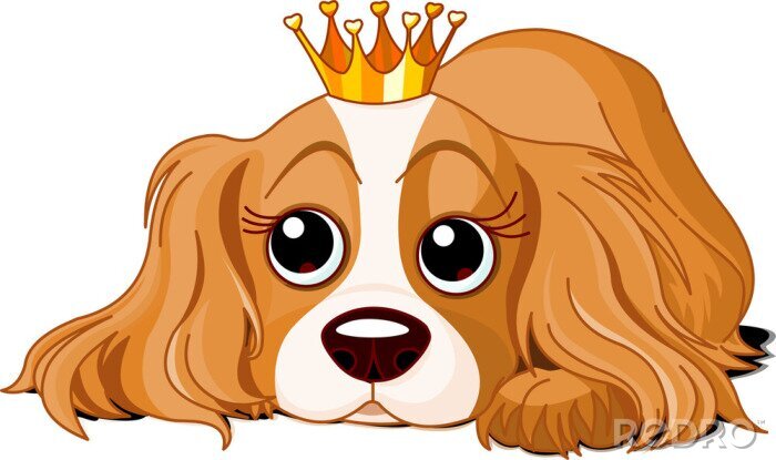 Fotobehang Rasechte hond in een koninklijke kroon
