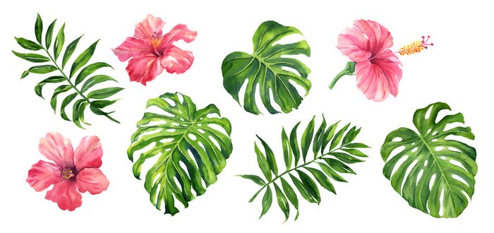 Fotobehang Realistic tropical botanical foliage plants. Set of tropical leaves and flowers: green palm neanta, monstera, hibiscus. Hand painted watercolor illustration isolated on white.