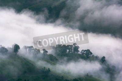 Fotobehang Regenwoud gehuld in mist