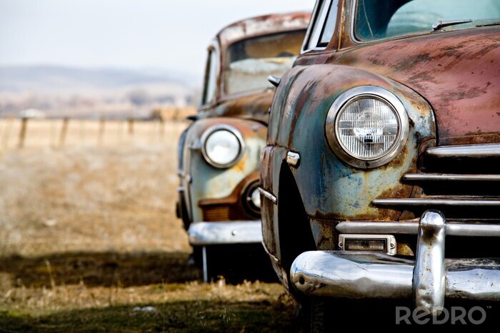Fotobehang Retro auto's op een autokerkhof