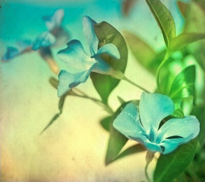 Fotobehang Retro blauwe bloem