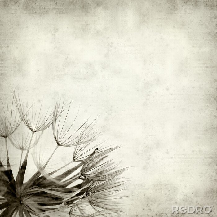 Fotobehang Retro bloemen op een open plek