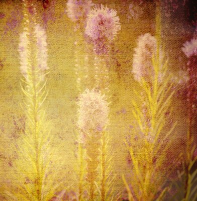 Fotobehang Retro bloemen op een weide