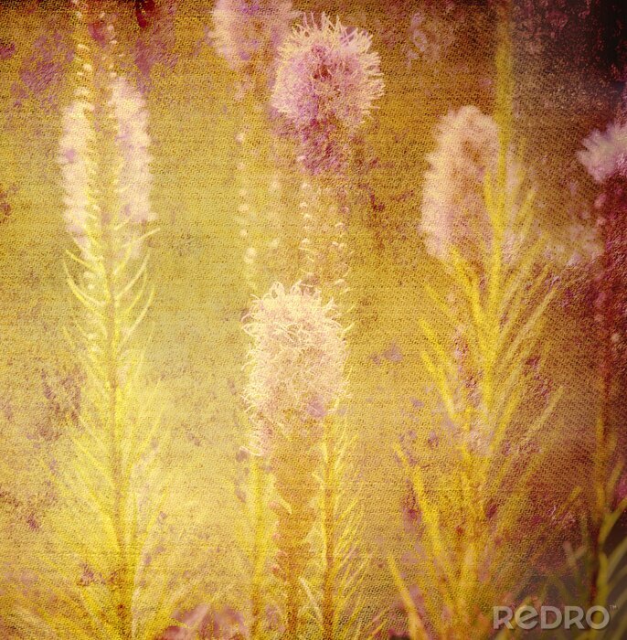 Fotobehang Retro bloemen op een weide