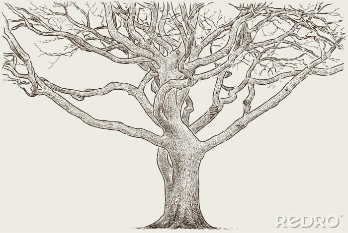 Fotobehang Retro boom