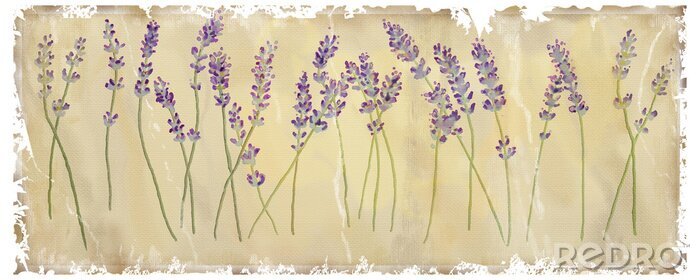 Fotobehang Retro illustratie met lavendel