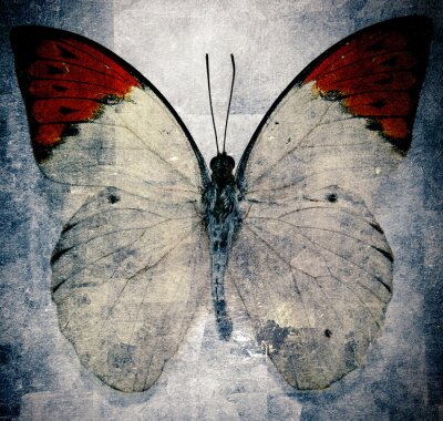 Fotobehang Retro illustratie met vlinder