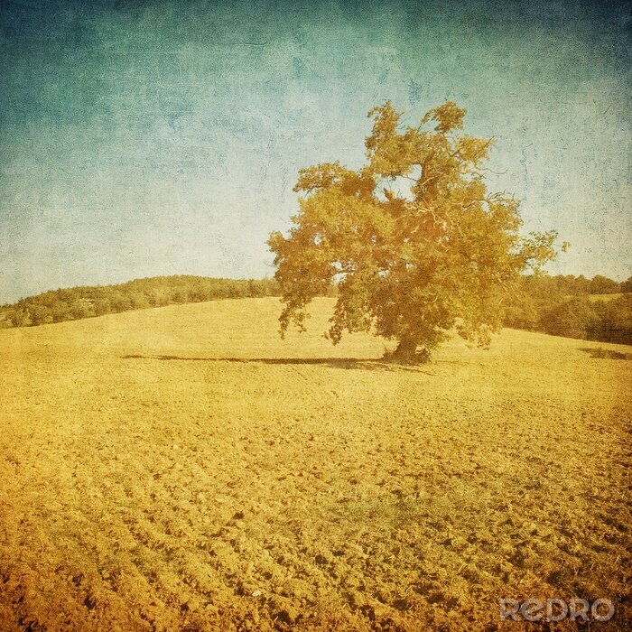 Fotobehang Retro landschap met een boom