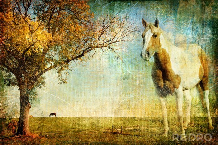 Fotobehang Retro paarden in de open plek